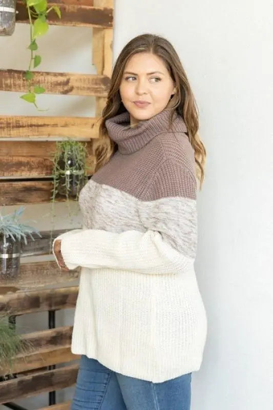 Pullover Sweater Women - Plus Size Turtleneck Sweater – Jolie