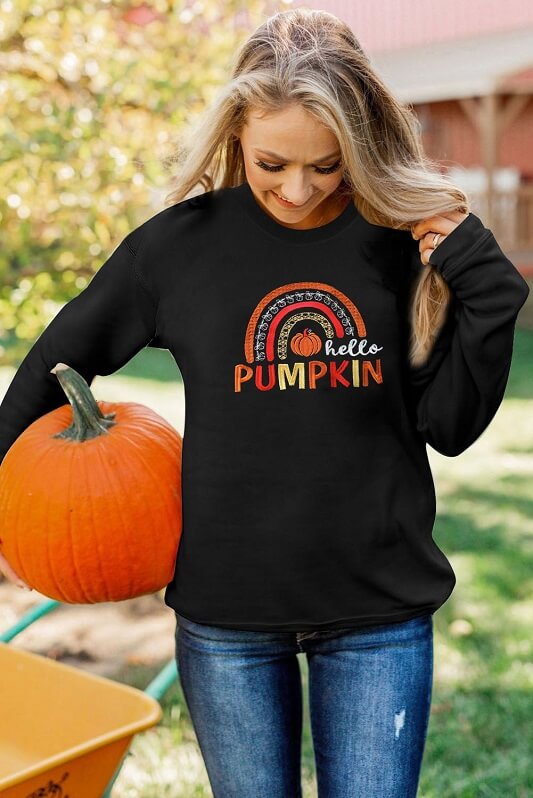 Hello Pumpkin Graphic Embroidered Sweatshirt Fall Tops Jolie