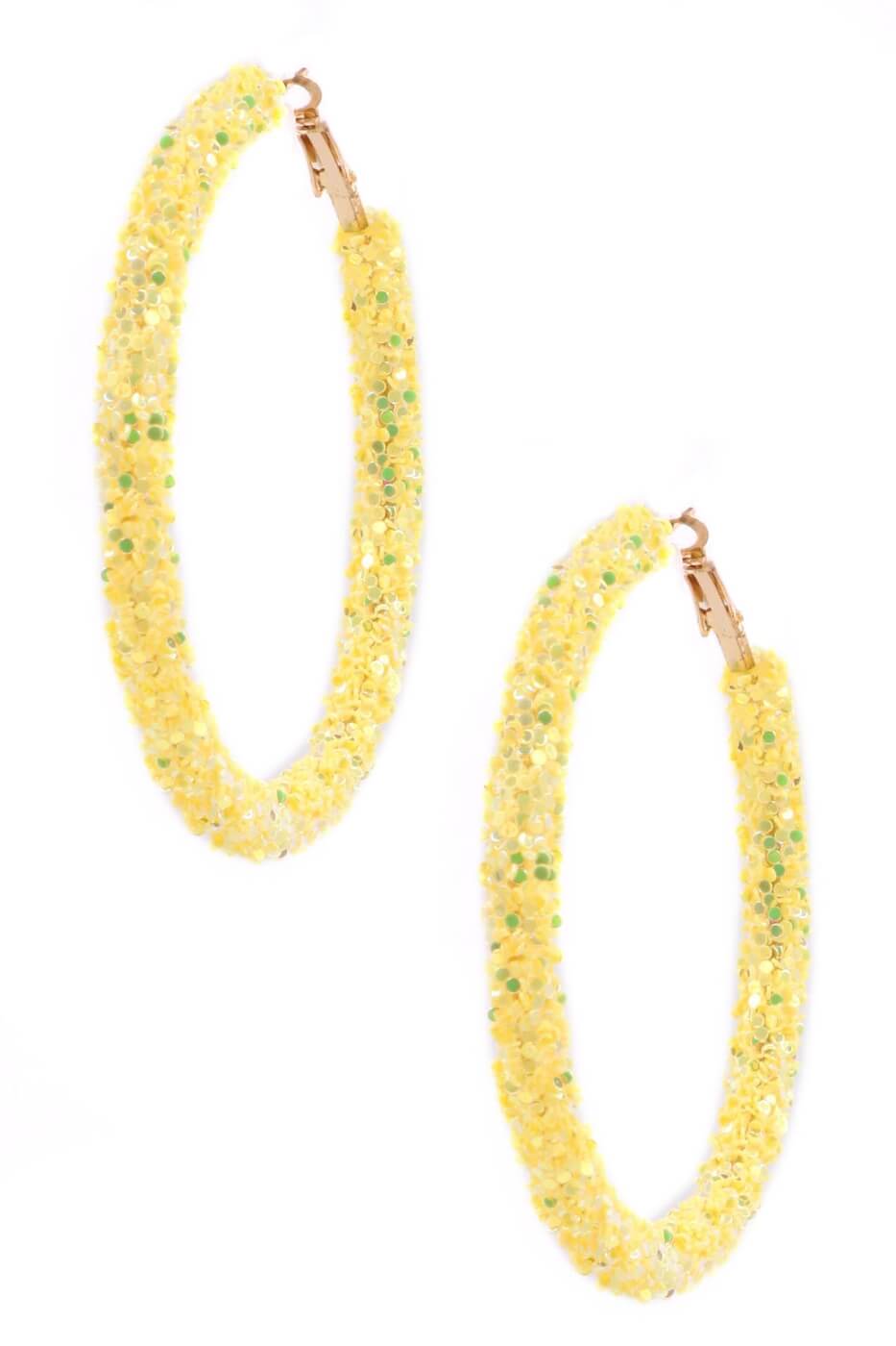 A Beautiful Day Sequin Hoop Earrings