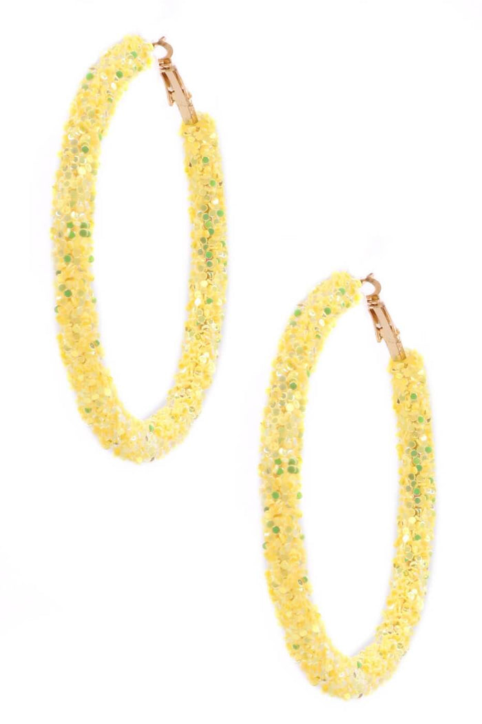 A Beautiful Day Sequin Hoop Earrings