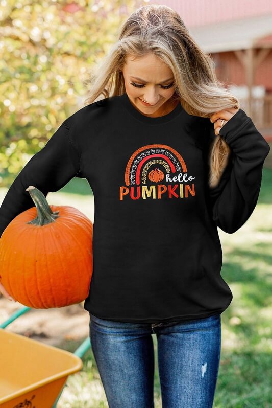 Hello Pumpkin Graphic Embroidered Sweatshirt-fall tops-seasonal sweatshirts