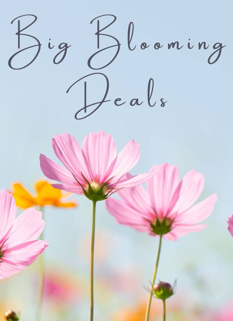 clothing for mature women-blouses for older women-mature women clothing-best online shopping sites for mature womens clothing-mature clothing-tops for mature women-mature women's dresses online-boutique for older ladies-jolie vaughan-mature womens dresses- mature women's clothing