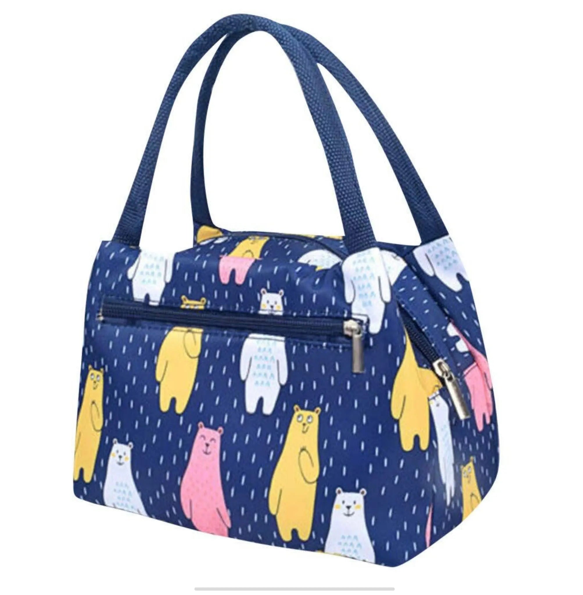 Lunch bag for ladies online hot sale